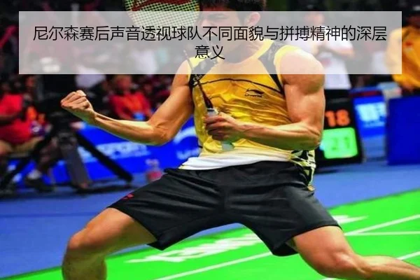尼尔森赛后声音透视球队不同面貌与拼搏精神的深层意义